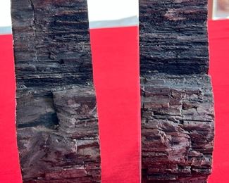 Arizona Petrified Wood Bookends