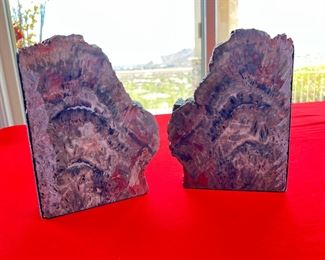 Arizona Petrified Wood Bookends
