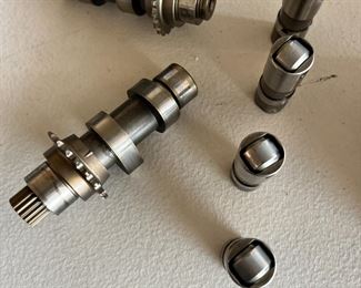 Harley Davidson Cam Kit