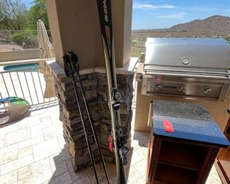 Blizzard Thermogel Snow Skis