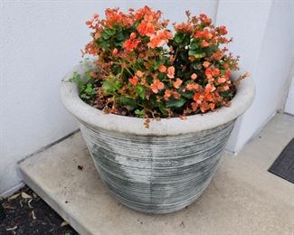 LARGE concrete planters, buyer moves. 2 of these