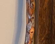 Brass Handled Walking Stick