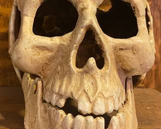 Cast Iron Skull