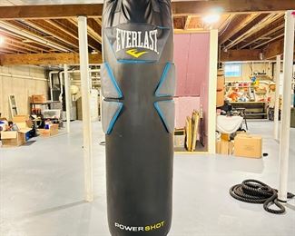 250lb Everlasting Power Shot punching bag/ boxing bag