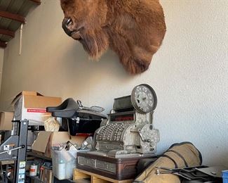 Taxidermy, cash resister & other items