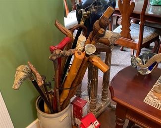 Cane you tell how many cool walking sticks are in this jug?