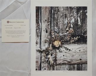 Brigitte Carnochan Bridge to the sun photograph