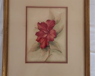 Soper watercolor of a hibiscus