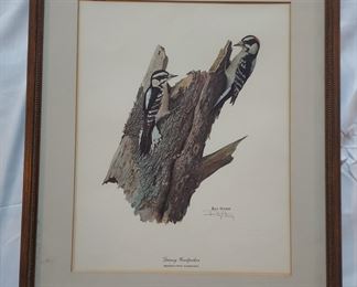 Ray Harm Lithograph Downy woodpecker