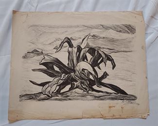 Pablo O'Higgins The Maguey of Topilejo