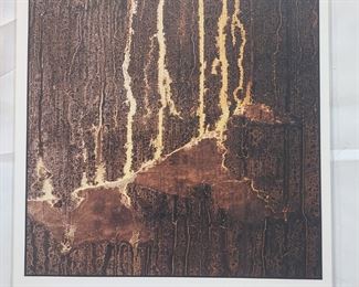 Kendall messick Photograph signed and # life support japan