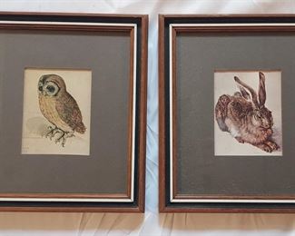 Durer print of rabbit and owl
