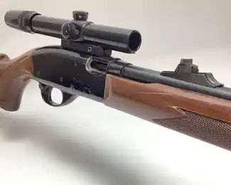 REMINGTON ARMS SPEEDMASTER 522 .22 S, L, LR w SCOPE, 