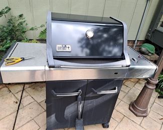 Weber Grill