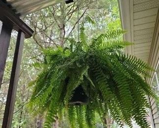 7aq60Ru8TP6pXEi 60 IQpd