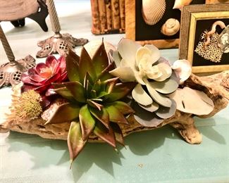 Shells and succulents arrangement