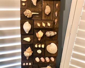 Shell decor