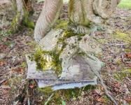 thumbnail 64a7044bb646f