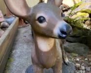 thumbnail 64a70c91e17bb