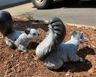 thumbnail 64a70f2925eef