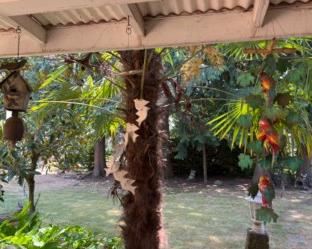 thumbnail 64a722db3dfbe