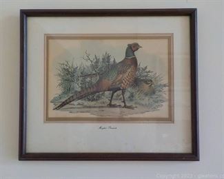 Framed and Matted Print Marghul Pheasants