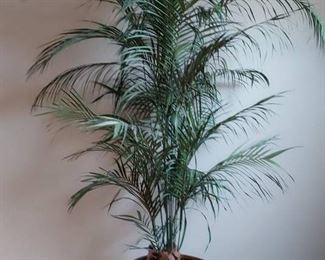 Large Faux Area Palm in Gold Planter