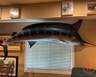Large Mounted Blue Marlin