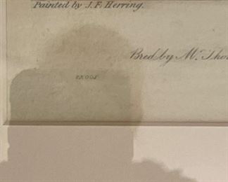 Set of 4 Antique Hand-Painted Etchings (Sold as Set or Individually). Mango - Winner of the Great St. Leger Stakes in 1837; Touchstone - Winner of the Great St. Leger Stakes in 1834, Don John - Winner of the Great St. Leger Stakes in 1838; Little Wonder - Winner of the Great St. Leger Stakes in 1840. Photo 6 of 7. 