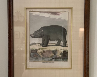 Antique Hippopotamus Hand-Painted Etching - 2 Available (Female & Male). Each Measures 6.5" x 9" unframed; 12" x 15" with Frame. Photo 1 of 3. 