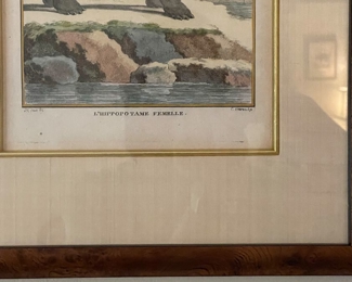 Antique Hippopotamus Hand-Painted Etching - 2 Available (Female & Male). Each Measures 6.5" x 9" unframed; 12" x 15" with Frame. Photo 2 of 3. 