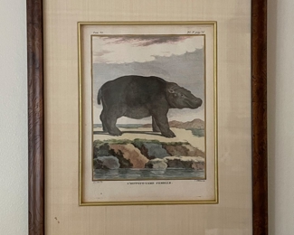 Antique Hippopotamus Hand-Painted Etching - 2 Available (Female & Male). Each Measures 6.5" x 9" unframed; 12" x 15" with Frame. Photo 3 of 3. 