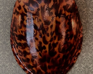 Large Scale Fiberglass Tortoise Shell. Measures Approximately 4' x 2.'