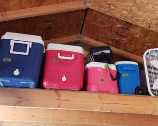 coolers, noodles