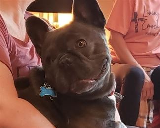 We love our customers