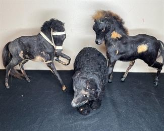 3 VTG Miniature Taxidermy Real Fur Animal Figures