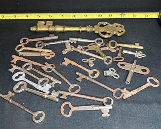 20+ Skeleton Keys & 1 Key Holder