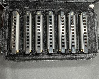 Hohner Piedmont Blues 7 key Harmonica set