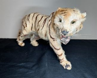 Real Fur Miniature Taxidermy Tiger