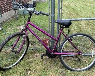 Outlook Diamondback 22 in Bike