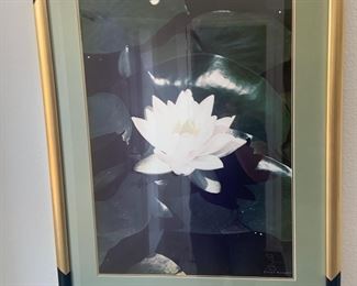 Framed and Matted Lotus Print