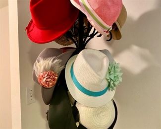 Assortment of Fedora Hats