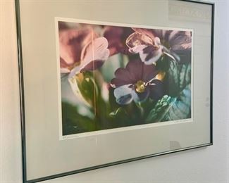 Signed and Numbered Floral Print by John Lind