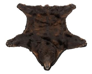 Vintage taxidermy bear skin rug