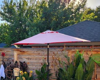 Standing Umbrella(s)