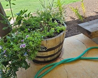 Jack Daniels Whiskey Barrel Planters 