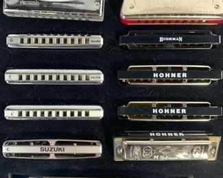 Vintage Hohner, Huang, Suzuki, Bushman and More Professional Harmonicas In Different Keys
