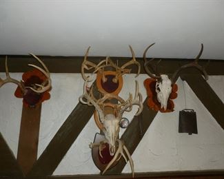 Antlers, etc