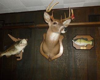 8 Point Buck & Large mouth bass