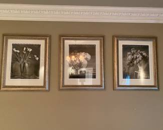 FRAMED PHOTOS